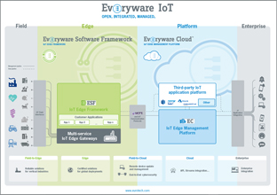 Everyware IoT Infographic